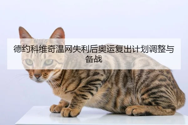 德约科维奇温网失利后奥运复出计划调整与备战