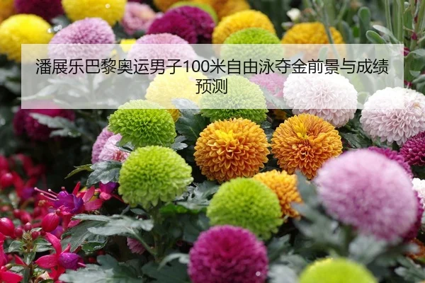 潘展乐巴黎奥运男子100米自由泳夺金前景与成绩预测