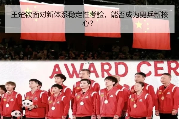 wang-chu-qin-mian-dui-xin-ti-xi-wen-ding-xing-kao-yan-neng-fou-cheng-wei-nan-ping-xin-he-xin-2-915.jpg