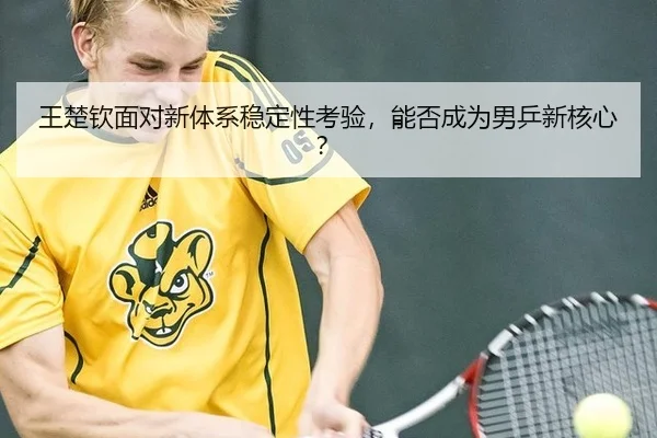 wang-chu-qin-mian-dui-xin-ti-xi-wen-ding-xing-kao-yan-neng-fou-cheng-wei-nan-ping-xin-he-xin-3-801.jpg
